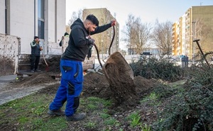 perex - práce na zeleni u kina Centrum.jpg