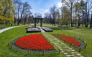 perex - rozkvetlá reminiscence.jpg