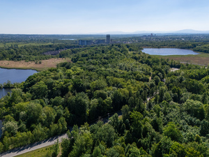 DJI_20260526101315_0863_D.jpg