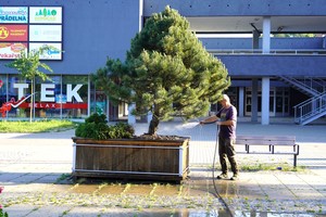 MMK02558.JPG