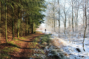 Obrázek pro článek 21.01.2021.jpg