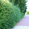 MMK01557.JPG
