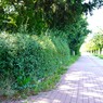MMK01567.JPG