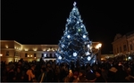 perex_vánoční strom MSK roku 2016.jpg